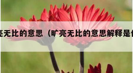 旷亮无比的意思（旷亮无比的意思解释是什么）