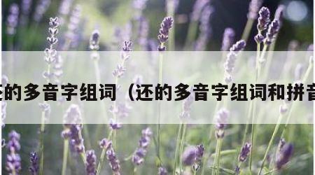 还的多音字组词（还的多音字组词和拼音）