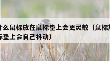 为什么鼠标放在鼠标垫上会更灵敏（鼠标放在鼠标垫上会自己抖动）