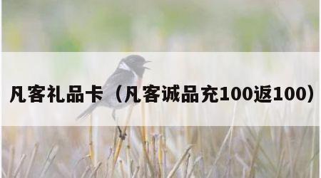 凡客礼品卡（凡客诚品充100返100）