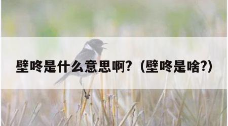 壁咚是什么意思啊?（壁咚是啥?）