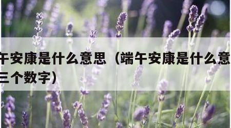 端午安康是什么意思（端午安康是什么意思,打三个数字）