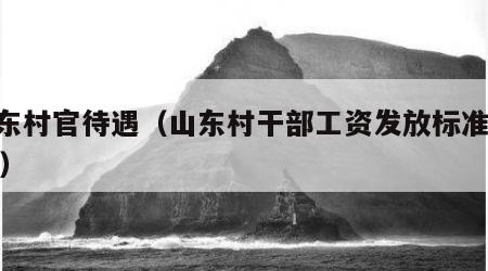 山东村官待遇（山东村干部工资发放标准2020）