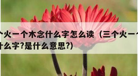 三个火一个木念什么字怎么读（三个火一个木念什么字?是什么意思?）