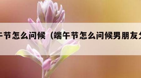 端午节怎么问候（端午节怎么问候男朋友父母）