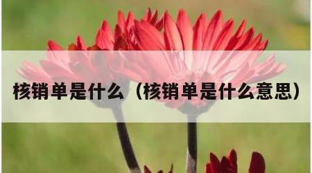 核销单是什么（核销单是什么意思）