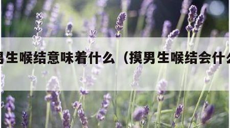 摸男生喉结意味着什么（摸男生喉结会什么反应）