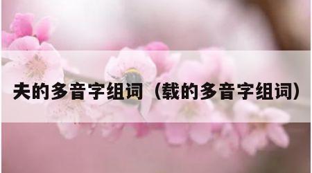 夫的多音字组词（载的多音字组词）