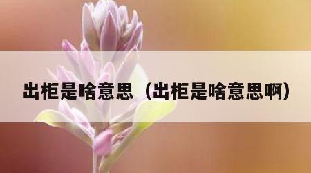 出柜是啥意思（出柜是啥意思啊）