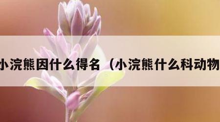 小浣熊因什么得名（小浣熊什么科动物）