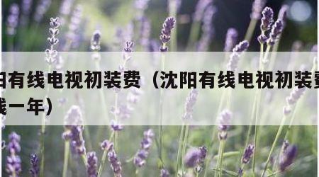 沈阳有线电视初装费（沈阳有线电视初装费多少钱一年）