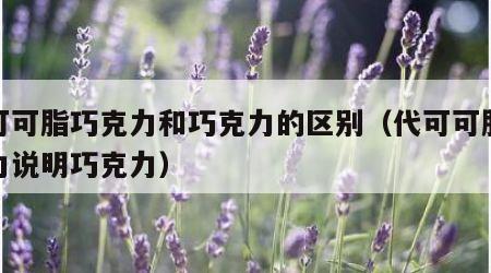 代可可脂巧克力和巧克力的区别（代可可脂巧克力说明巧克力）