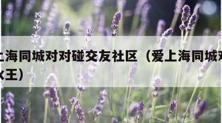 爱上海同城对对碰交友社区（爱上海同城对对碰水王）