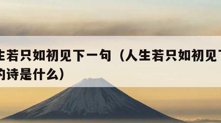 人生若只如初见下一句（人生若只如初见下一句的诗是什么）