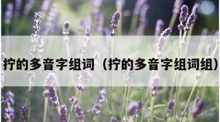 拧的多音字组词（拧的多音字组词组）