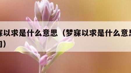 梦寐以求是什么意思（梦寐以求是什么意思啊造句）