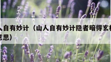 山人自有妙计（山人自有妙计隐者暗得玄机什么意思）