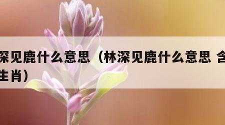 林深见鹿什么意思（林深见鹿什么意思 含义和生肖）