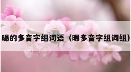 曝的多音字组词语（曝多音字组词组）