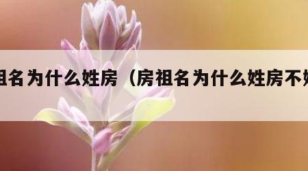 房祖名为什么姓房（房祖名为什么姓房不姓陈）