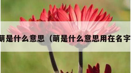 很萌是什么意思（萌是什么意思用在名字上）