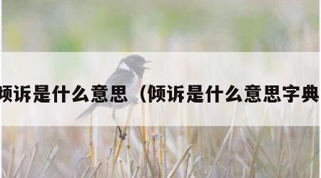 倾诉是什么意思（倾诉是什么意思字典）