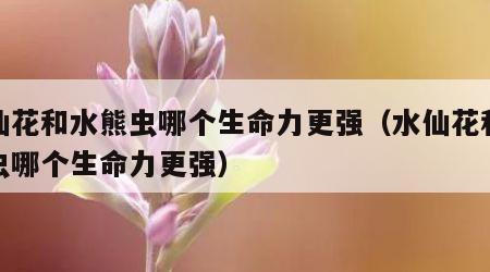 水仙花和水熊虫哪个生命力更强（水仙花和水熊虫哪个生命力更强）