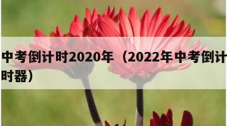 中考倒计时2020年（2022年中考倒计时器）