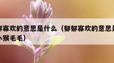 郁郁寡欢的意思是什么（郁郁寡欢的意思是什么小猴毛毛）