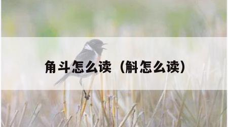 角斗怎么读（斛怎么读）