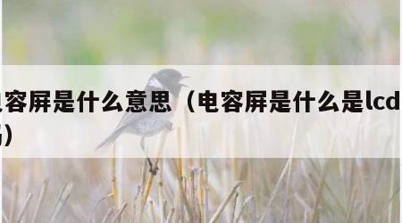 电容屏是什么意思（电容屏是什么是lcd屏吗）