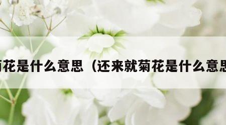 菊花是什么意思（还来就菊花是什么意思）