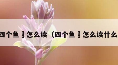 四个鱼鱻怎么读（四个鱼鱻怎么读什么）