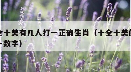 十全十美有几人打一正确生肖（十全十美的人打一数字）