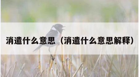 消遣什么意思（消遣什么意思解释）