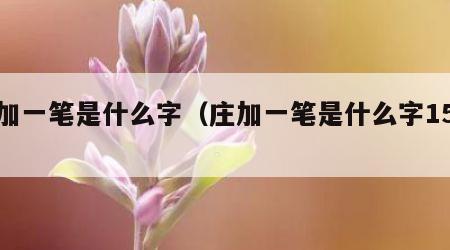 庄加一笔是什么字（庄加一笔是什么字15个）