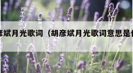 胡彦斌月光歌词（胡彦斌月光歌词意思是什么）