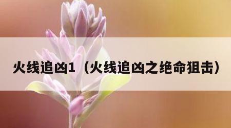 火线追凶1（火线追凶之绝命狙击）