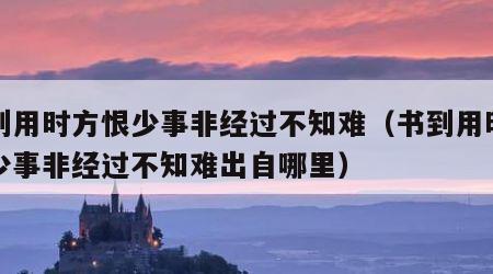 书到用时方恨少事非经过不知难（书到用时方恨少事非经过不知难出自哪里）