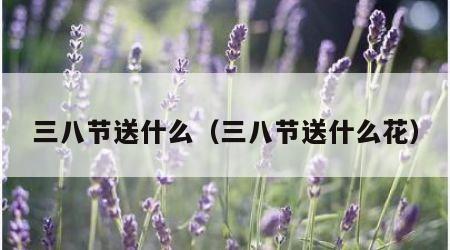 三八节送什么（三八节送什么花）