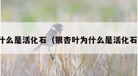 什么是活化石（银杏叶为什么是活化石）