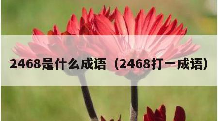 2468是什么成语（2468打一成语）