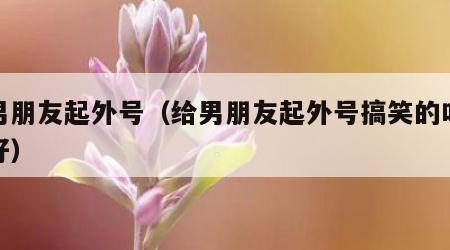 给男朋友起外号（给男朋友起外号搞笑的叫什么好）