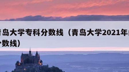 青岛大学专科分数线（青岛大学2021年的分数线）