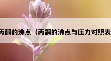 丙酮的沸点（丙酮的沸点与压力对照表）