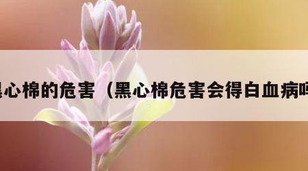 黑心棉的危害（黑心棉危害会得白血病吗）