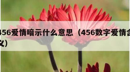 456爱情暗示什么意思（456数字爱情含义）