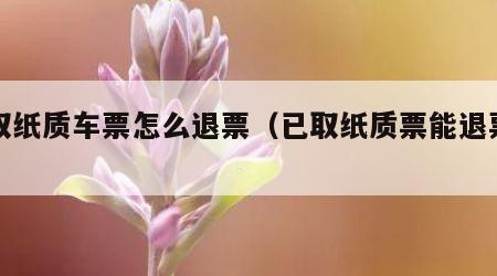 已取纸质车票怎么退票（已取纸质票能退票吗）