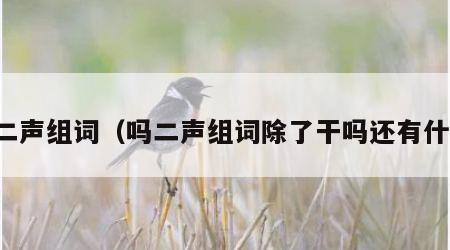 吗二声组词（吗二声组词除了干吗还有什么）