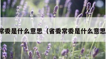 常委是什么意思（省委常委是什么意思）